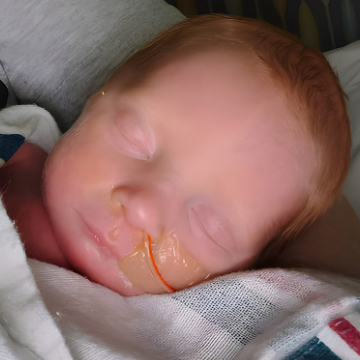 Estella M. Monroe 2025